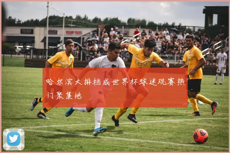 哈尔滨大排档成世界杯球迷观赛热门聚集地