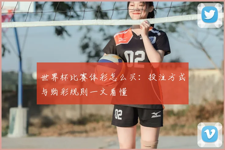 世界杯比赛体彩怎么买：投注方式与购彩规则一文看懂