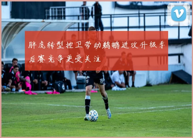 胖虎转型控卫带动鹈鹕进攻升级季后赛竞争更受关注