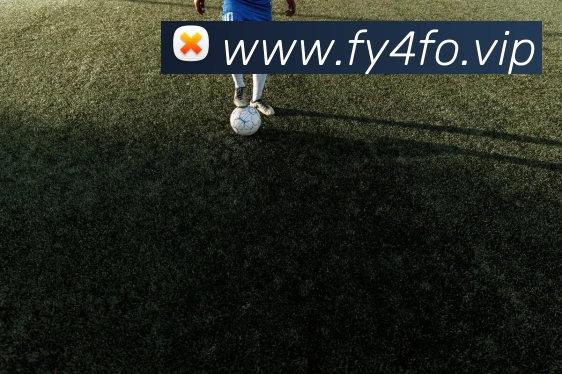 开云(中国)Kaiyun·官方网站 - 科技股份有限公司服务体系