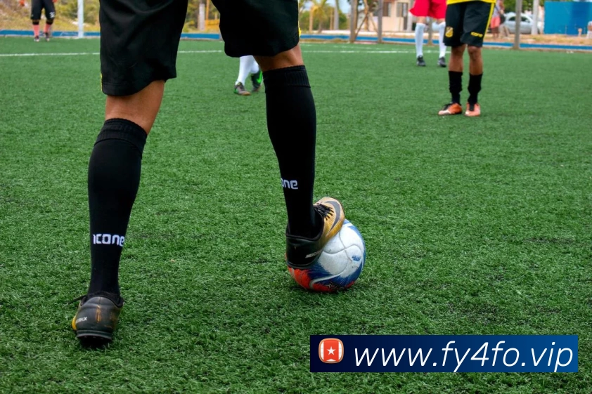 开云(中国)Kaiyun·官方网站 - 科技股份有限公司APP 封面图