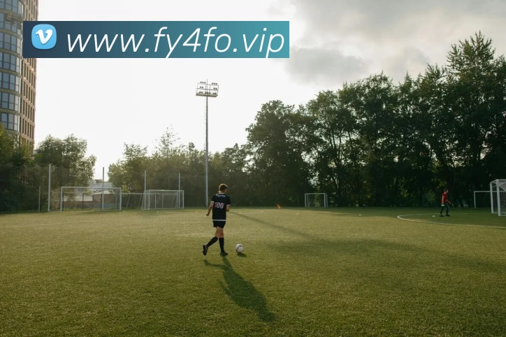 数据防护可视化